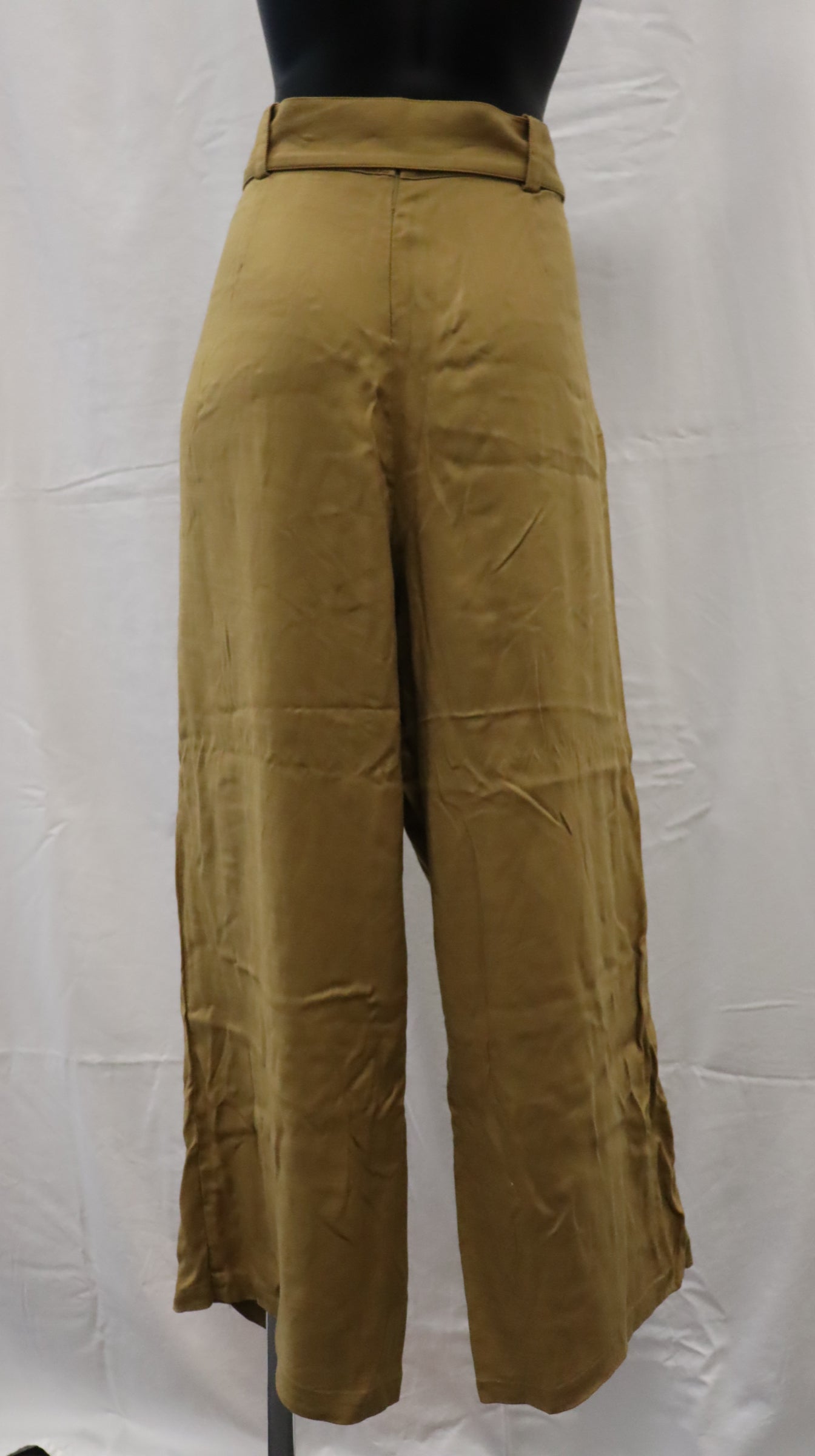 Wish Pants 14