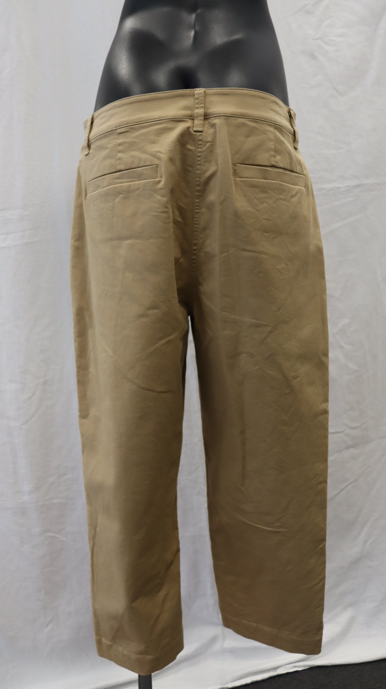 shjark Pants 12