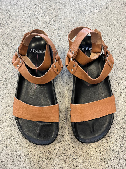 Mollini Sandals 37